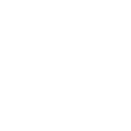 Website SEO Audit