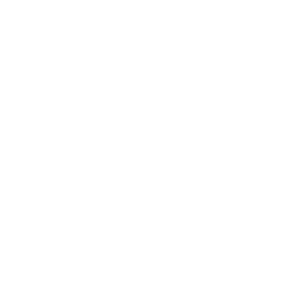 On-Page SEO Analysis