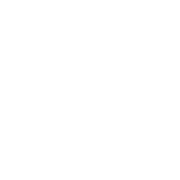 Technical SEO
